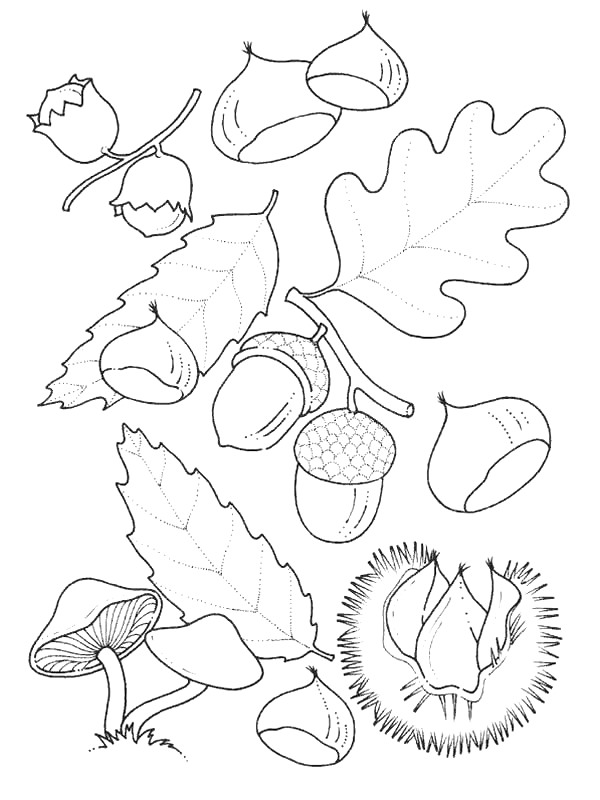 Plansa de colorat cu Toamna 87 167